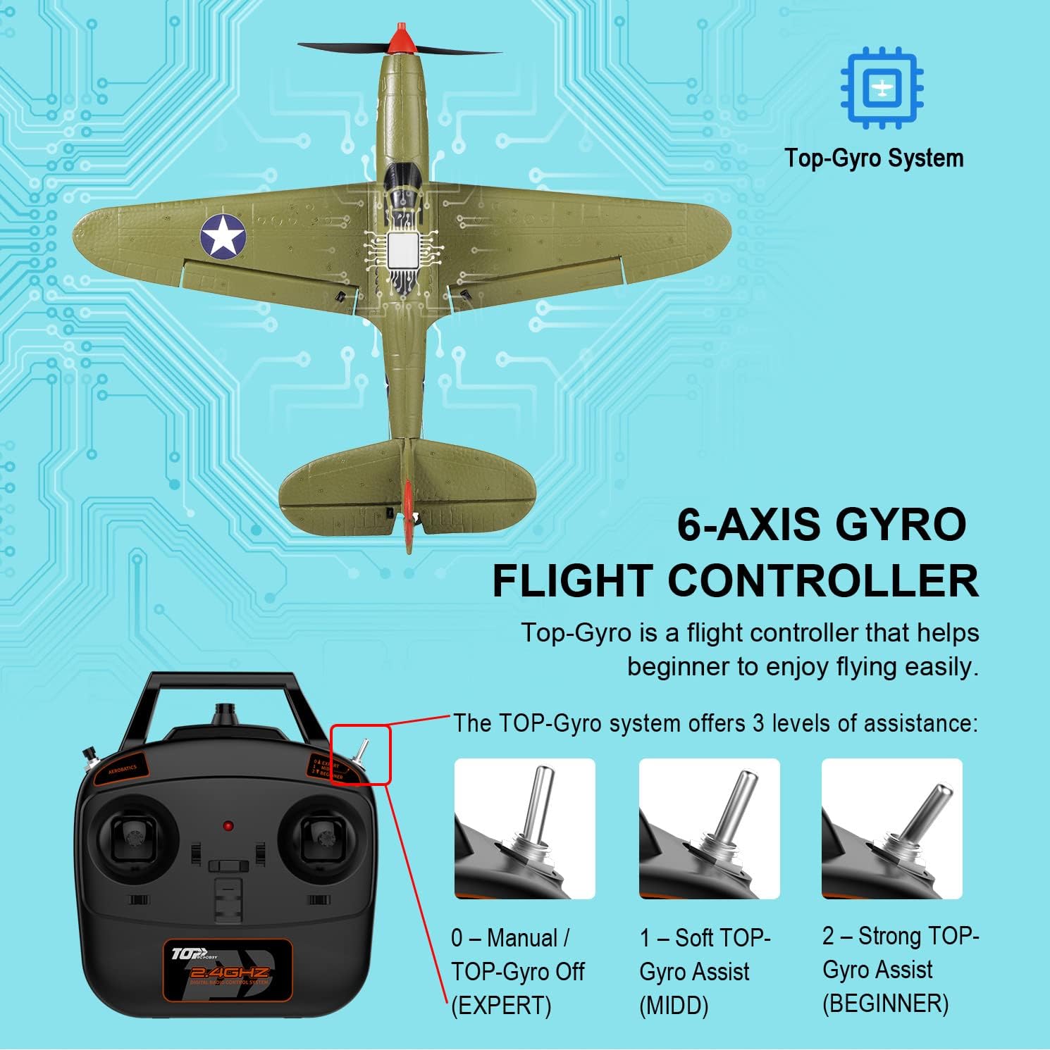 Ready-to-Fly 4-Channel RC Warb - Model Airplane Plastic recension och pris