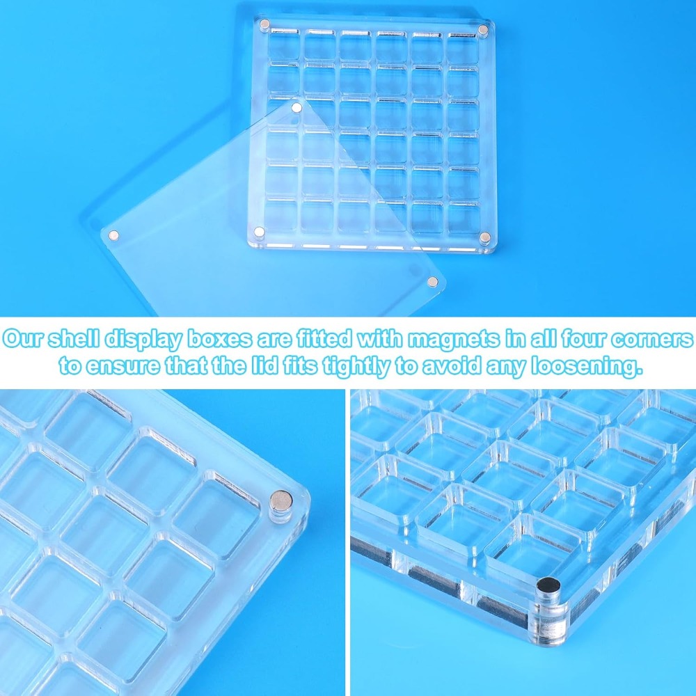 Clear Acrylic Magnetic Seashel - Display Case Acrylic recension och pris